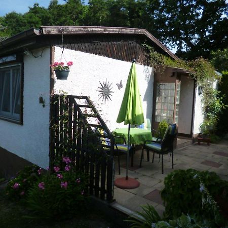Ferienhaus ANNE Thale Exterior foto